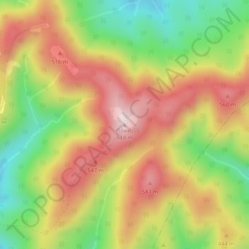 Топографическая карта Пляхо, высота, рельеф
