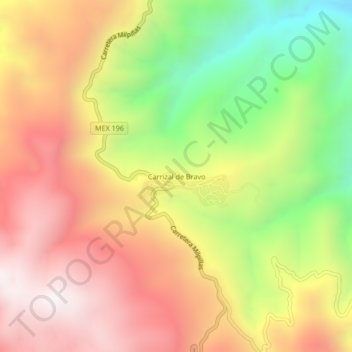 Топографическая карта Carrizal de Bravo, высота, рельеф