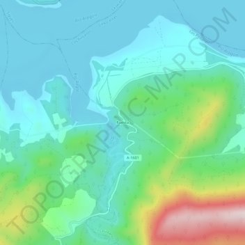Топографическая карта Ruesta, высота, рельеф