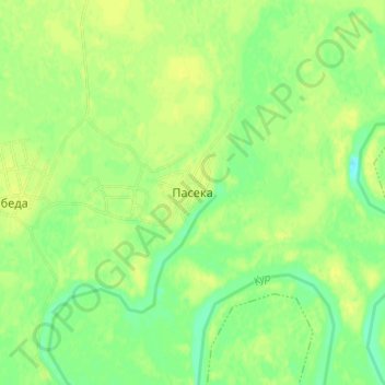 Топографическая карта Пасека, высота, рельеф