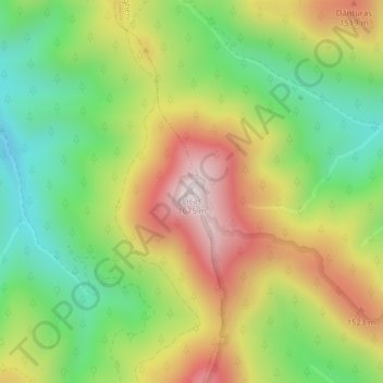 Топографическая карта Licaș, высота, рельеф