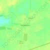 Топографическая карта Шаповаловка, высота, рельеф