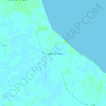 Топографическая карта Tanjung Bunga, высота, рельеф