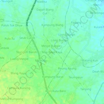 Топографическая карта Mns Raya Paya, высота, рельеф