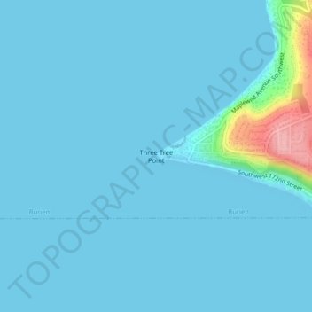Топографическая карта Three Tree Point, высота, рельеф