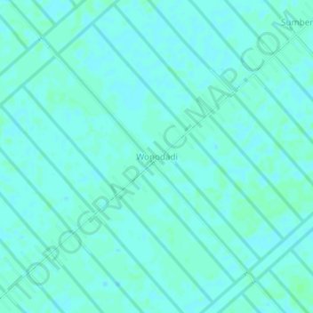 Топографическая карта Wonodadi, высота, рельеф