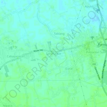 Топографическая карта Salomague, высота, рельеф