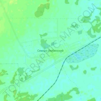 Топографическая карта Северо-Любинский, высота, рельеф