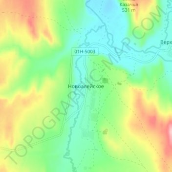 Топографическая карта Новоалейское, высота, рельеф