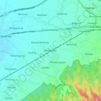 Топографическая карта Wonoasri, высота, рельеф