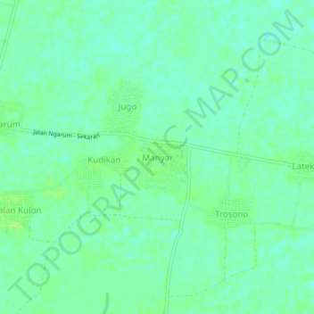 Топографическая карта Manyar, высота, рельеф