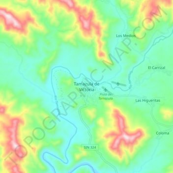 Топографическая карта Tamazula de Victoria, высота, рельеф