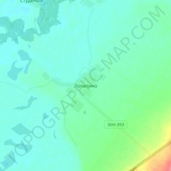Топографическая карта Лопатино, высота, рельеф