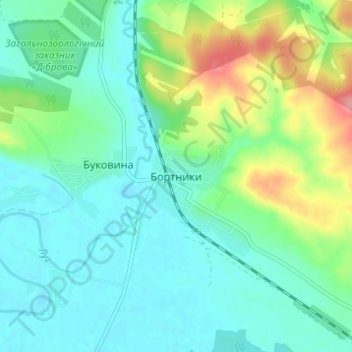 Топографическая карта Бортники, высота, рельеф