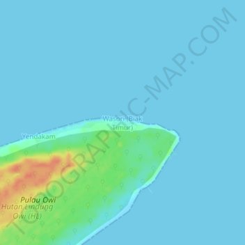 Топографическая карта Wasori (Biak Timur), высота, рельеф