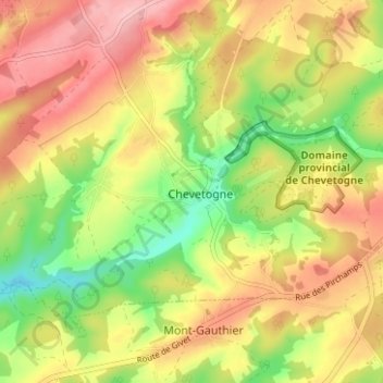 Топографическая карта Chevetogne, высота, рельеф
