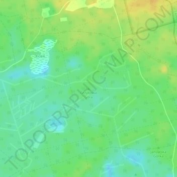 Топографическая карта Grzybowa Góra, высота, рельеф