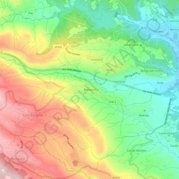Топографическая карта Bornasco, высота, рельеф