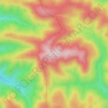 Топографическая карта Тогур, высота, рельеф