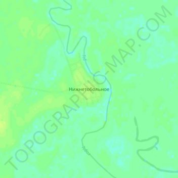Топографическая карта Нижнетобольное, высота, рельеф