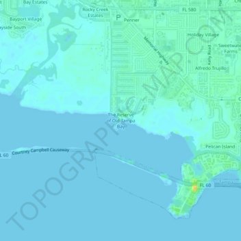 Топографическая карта The Reserve of Old Tampa Bay, высота, рельеф