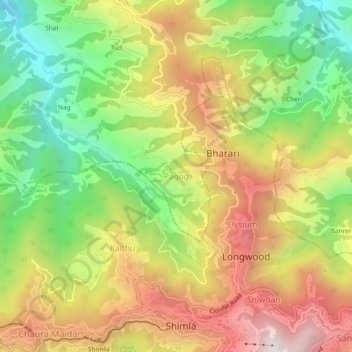 Топографическая карта Pagog, высота, рельеф