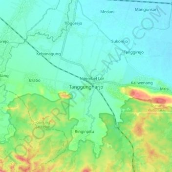 Топографическая карта Tanggungharjo, высота, рельеф
