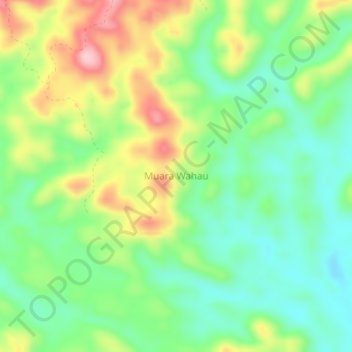 Топографическая карта Muara Wahau, высота, рельеф