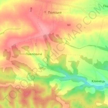 Топографическая карта Мышковичи, высота, рельеф
