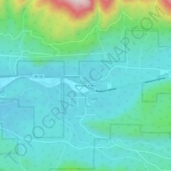 Топографическая карта McKenzie Bridge, высота, рельеф