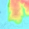 Топографическая карта Чиганары, высота, рельеф