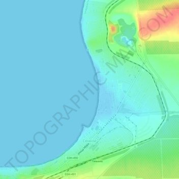 Топографическая карта Сенной, высота, рельеф