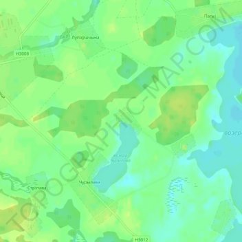 Топографическая карта Окунёво, высота, рельеф