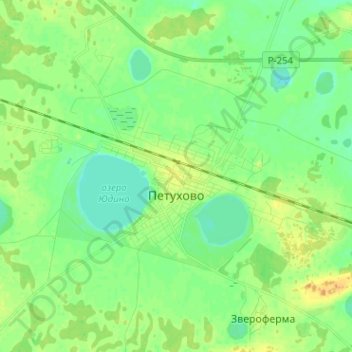 Топографическая карта Петухово, высота, рельеф