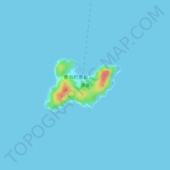 Топографическая карта 斎島, высота, рельеф