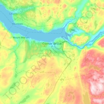 Топографическая карта Corner Brook, высота, рельеф