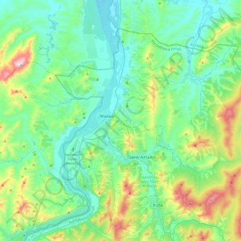 Топографическая карта Майминское сельское поселение, высота, рельеф
