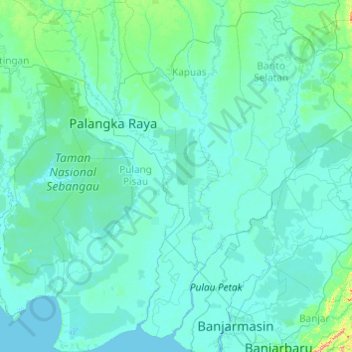 Топографическая карта Pulang Pisau, высота, рельеф