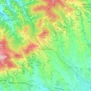 Топографическая карта Pino Torinese, высота, рельеф