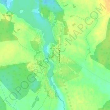 Топографическая карта Молдино, высота, рельеф