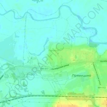 Топографическая карта Репина, высота, рельеф
