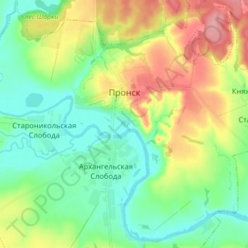Топографическая карта Пронск, высота, рельеф
