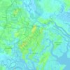 Топографическая карта Саванна, высота, рельеф