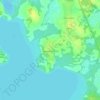 Топографическая карта Тимошковщина, высота, рельеф