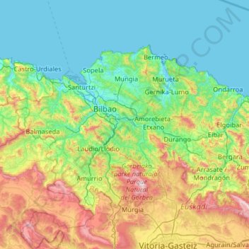 Топографическая карта Vizcaya, высота, рельеф