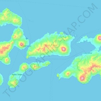 Топографическая карта Flores Timur, высота, рельеф