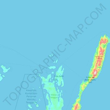 Топографическая карта Tual, высота, рельеф