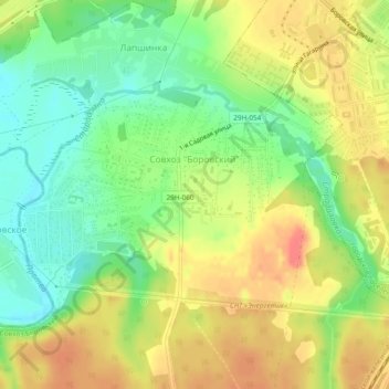 Топографическая карта Совхоз "Боровский", высота, рельеф