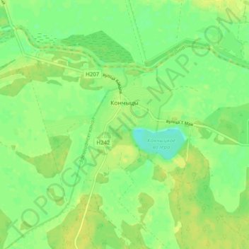 Топографическая карта Кончицы, высота, рельеф