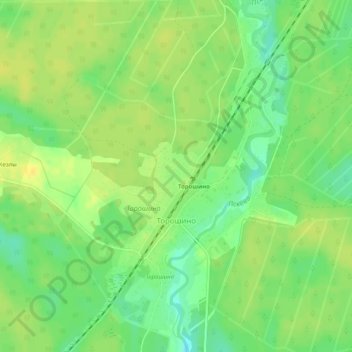 Топографическая карта Торошино, высота, рельеф